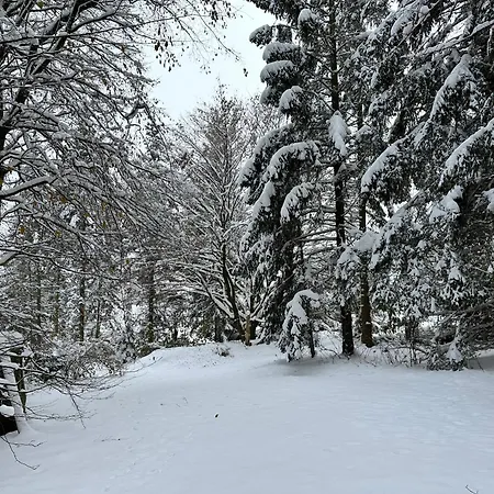 Holiday home Blockhaeusl Am Jonsberg