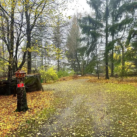 Holiday home Blockhaeusl Am Jonsberg *